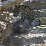 FITS_206 (May 04, 2019)